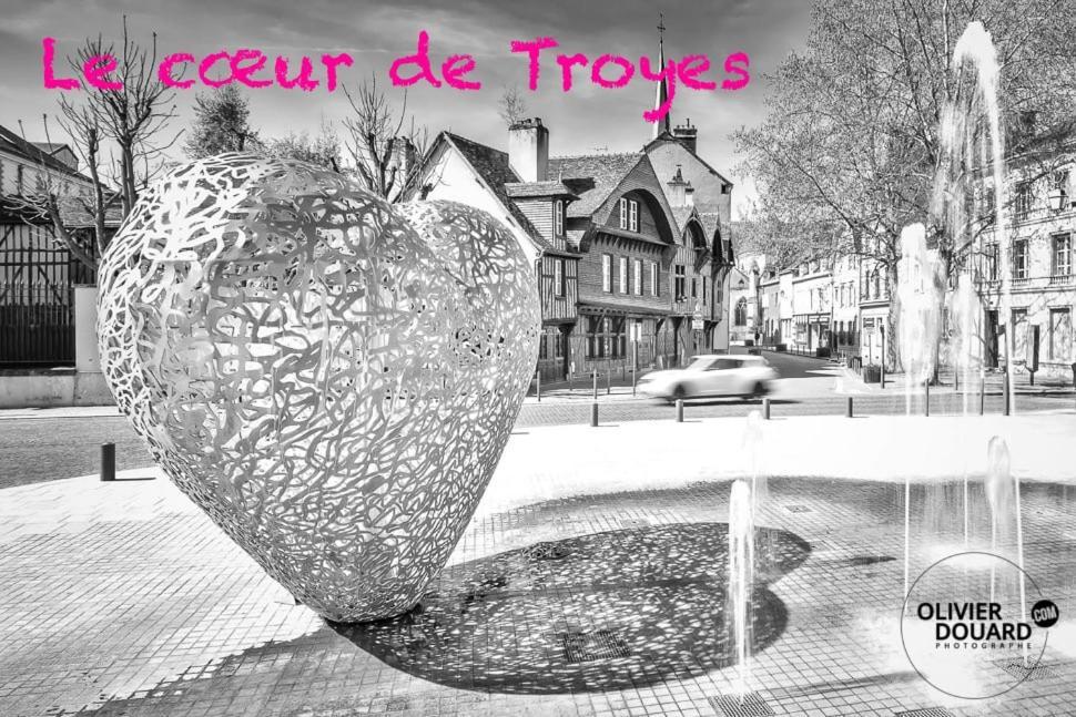 Le Mortier D'Or Duplex Hyper Centre Ville Troyes Exterior foto